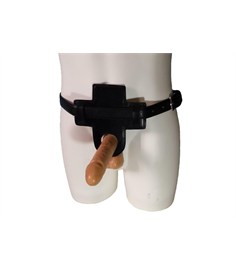 L'Extender